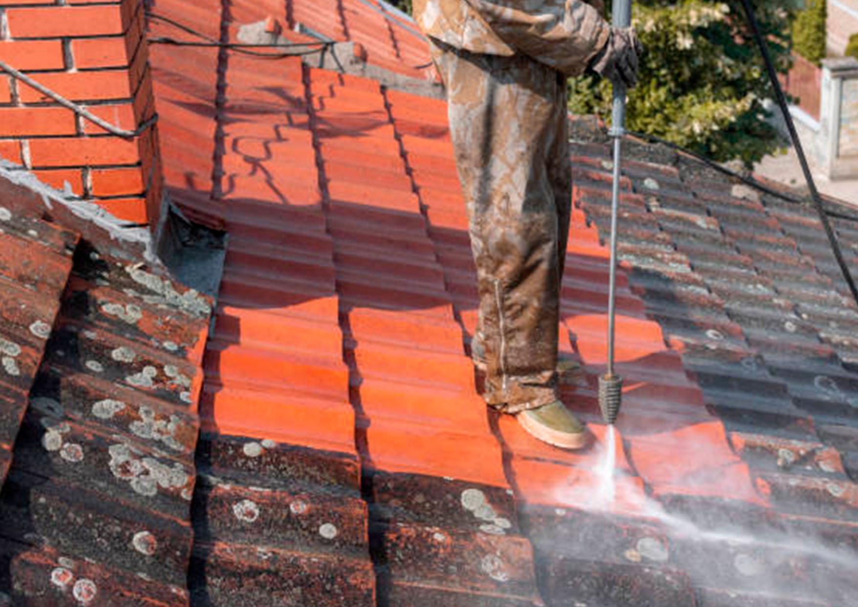 Taille de haie avec mise en forme
