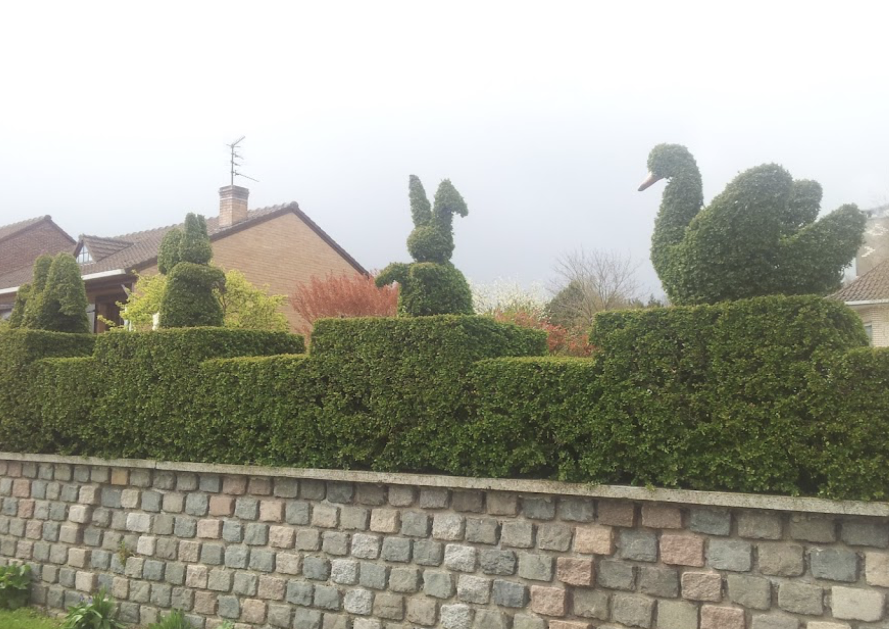Taille de haie avec mise en forme